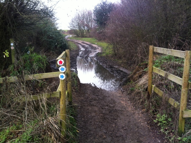 A view along a very muddy footpath, thankfully we were going in the other direction!