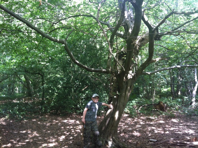 Sam stands next to an intersting couple of trees that have grown intertwined